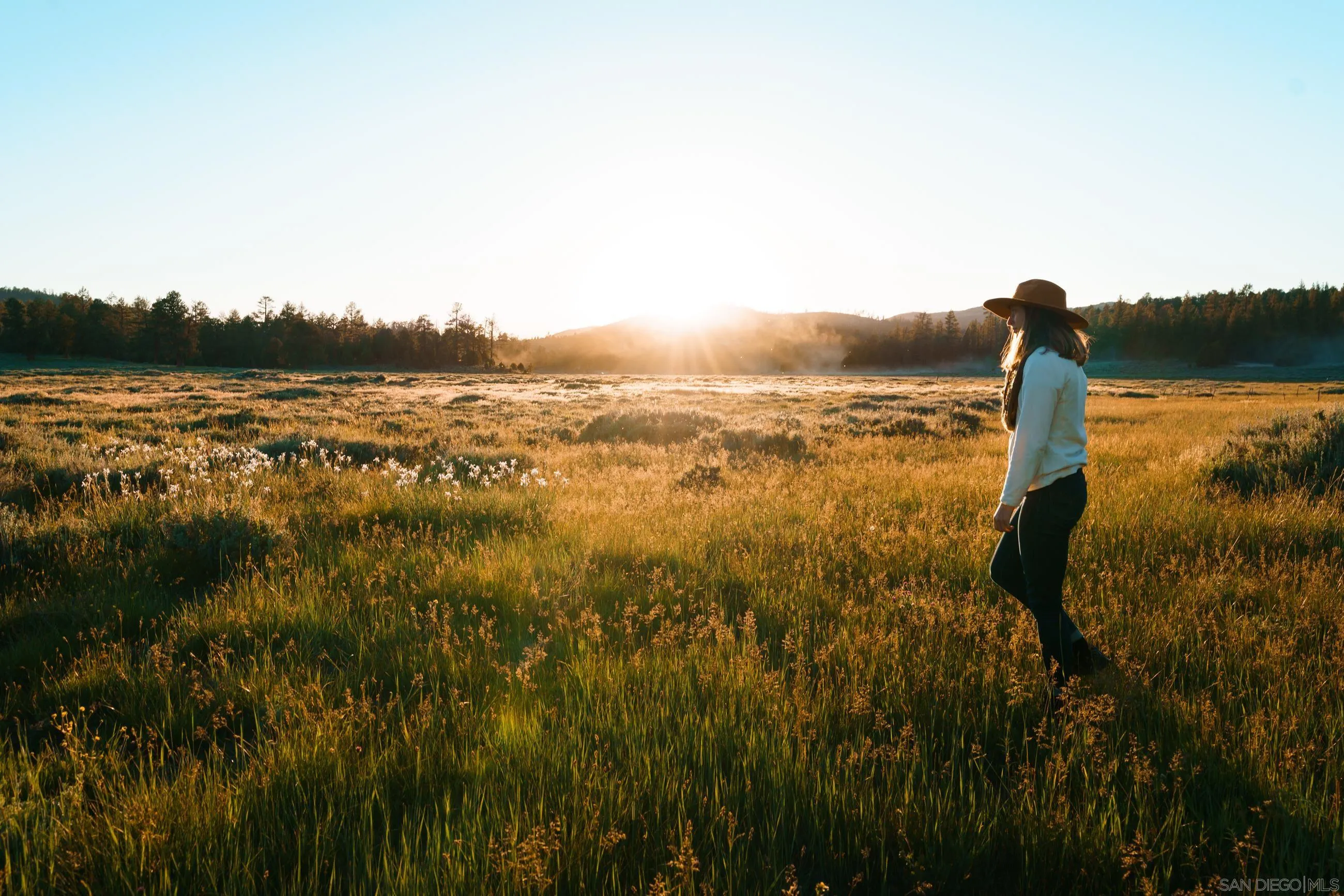34300 Holcomb Valley Road, Unit MULTIPLE Lucerne Valley, CA 92356 - Photo 12 of 26