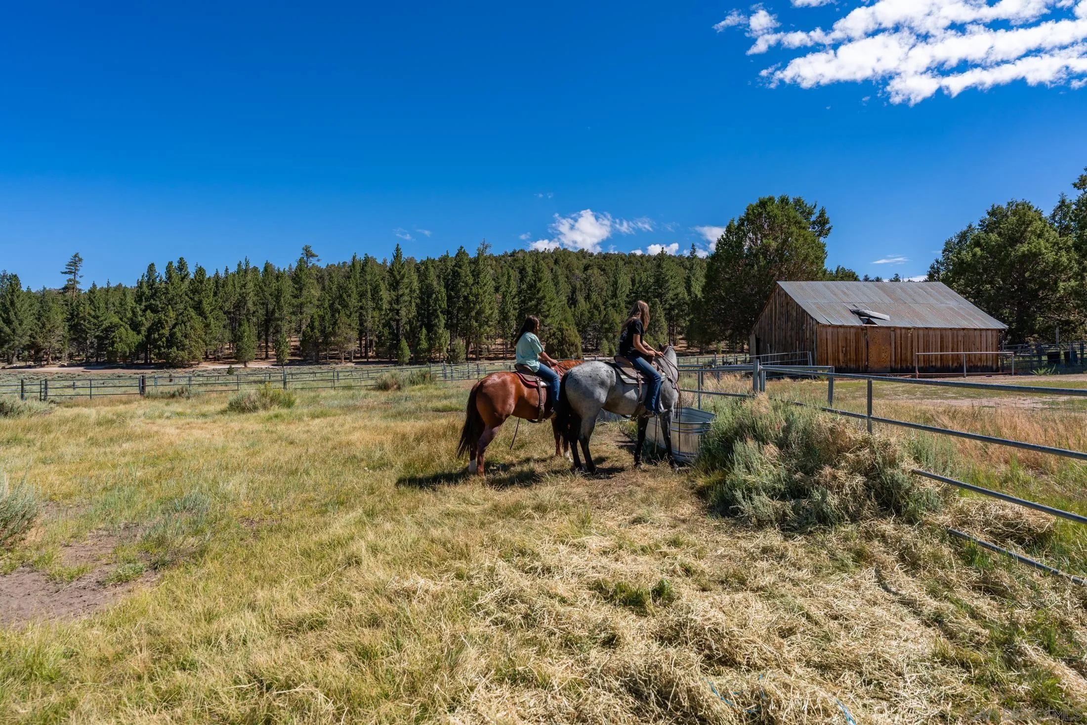 34300 Holcomb Valley Road, Unit MULTIPLE Lucerne Valley, CA 92356 - Photo 20 of 26