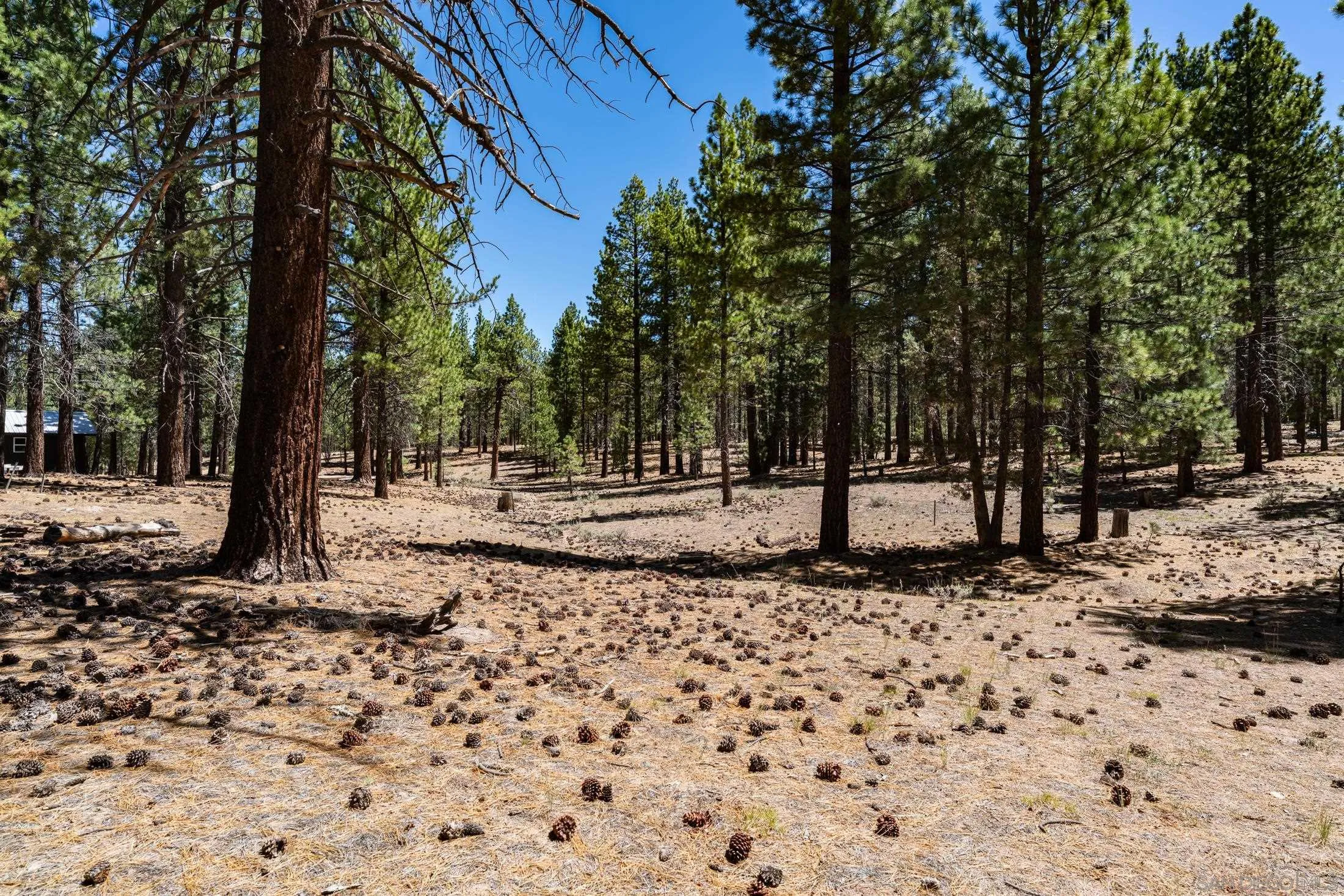 34300 Holcomb Valley Road, Unit MULTIPLE Lucerne Valley, CA 92356 - Photo 22 of 26