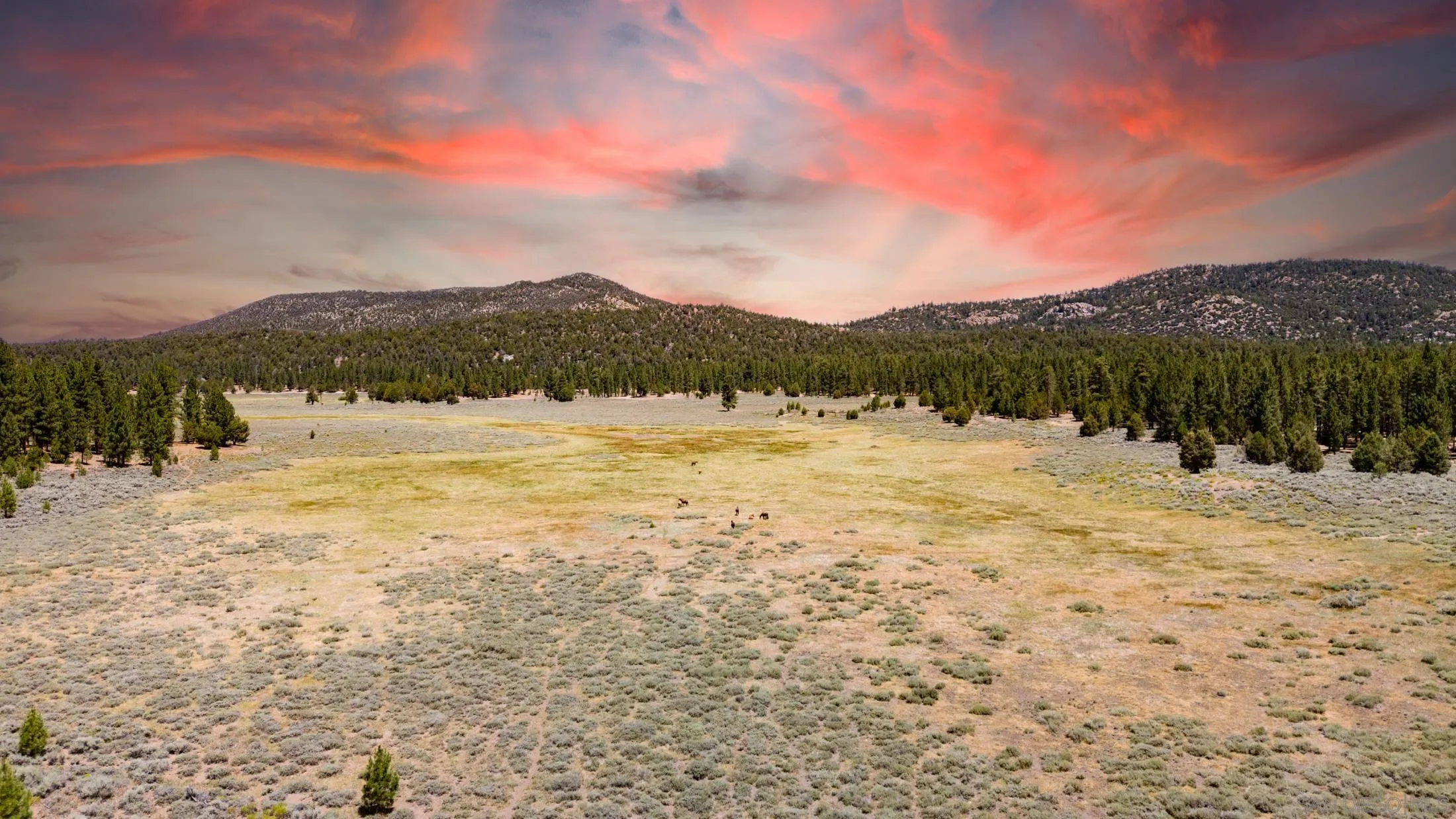 34300 Holcomb Valley Road, Unit MULTIPLE Lucerne Valley, CA 92356 - Photo 25 of 26