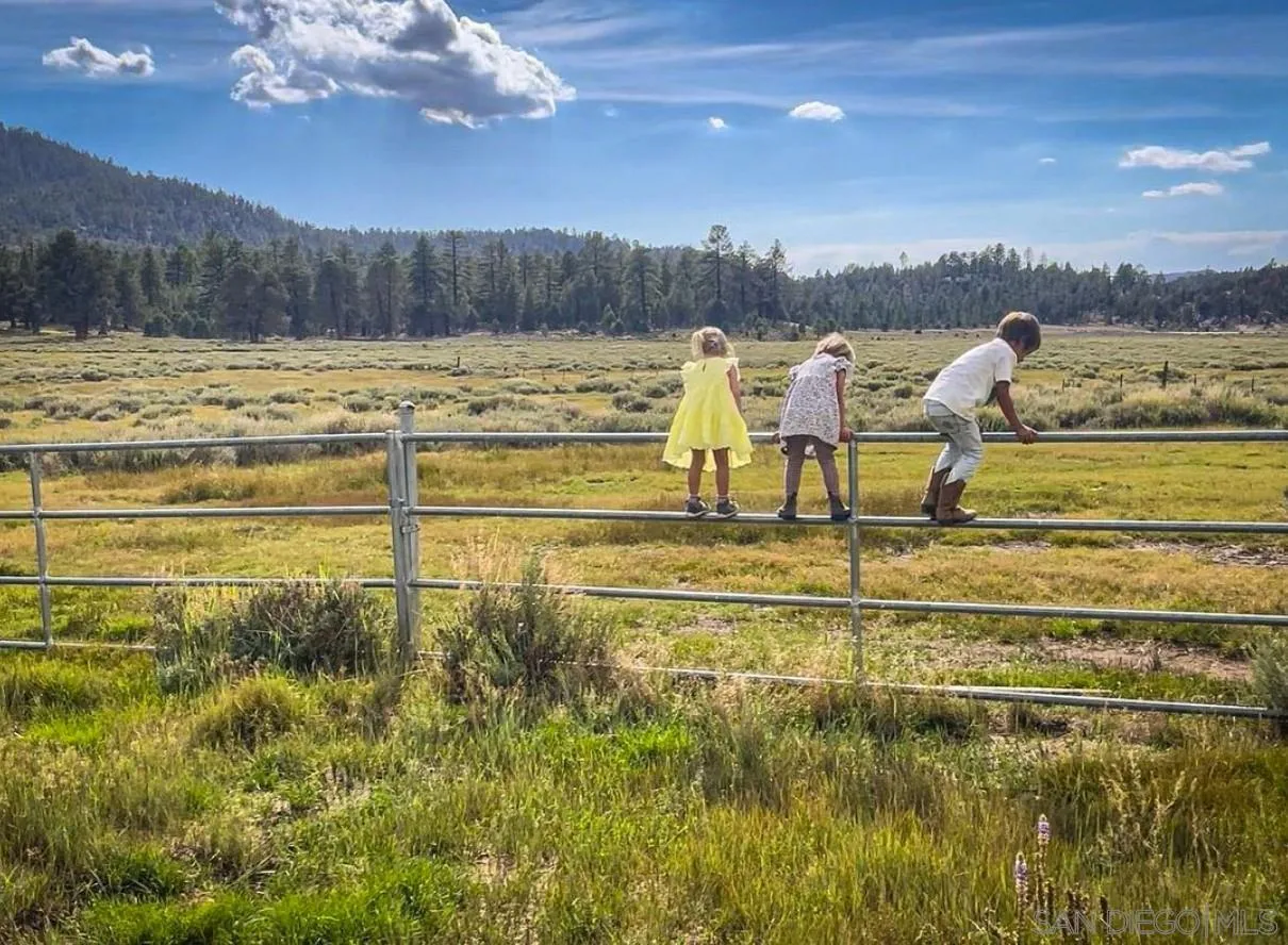 34300 Holcomb Valley Road, Unit MULTIPLE Lucerne Valley, CA 92356 - Photo 9 of 26