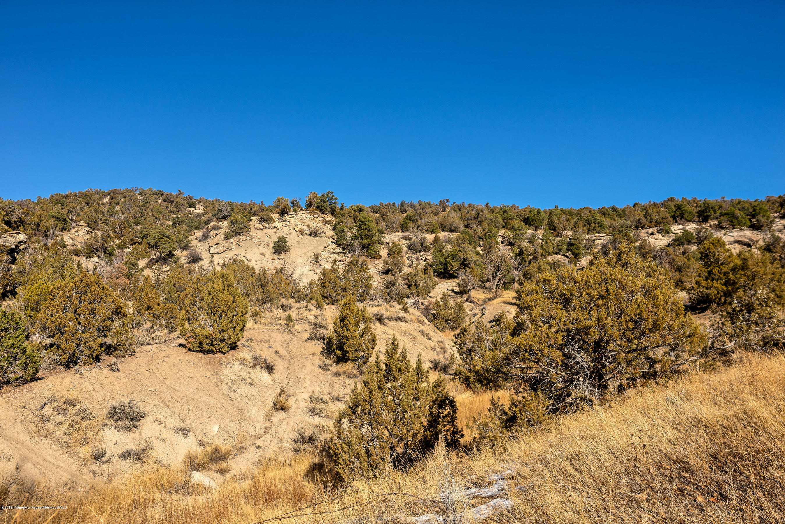 455 Cedar Hills Road Silt, CO 81652 - Photo 34 of 37 blm