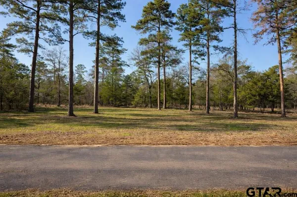 $24,999 | Tbd King Charles Road, Scroggins, TX 75480