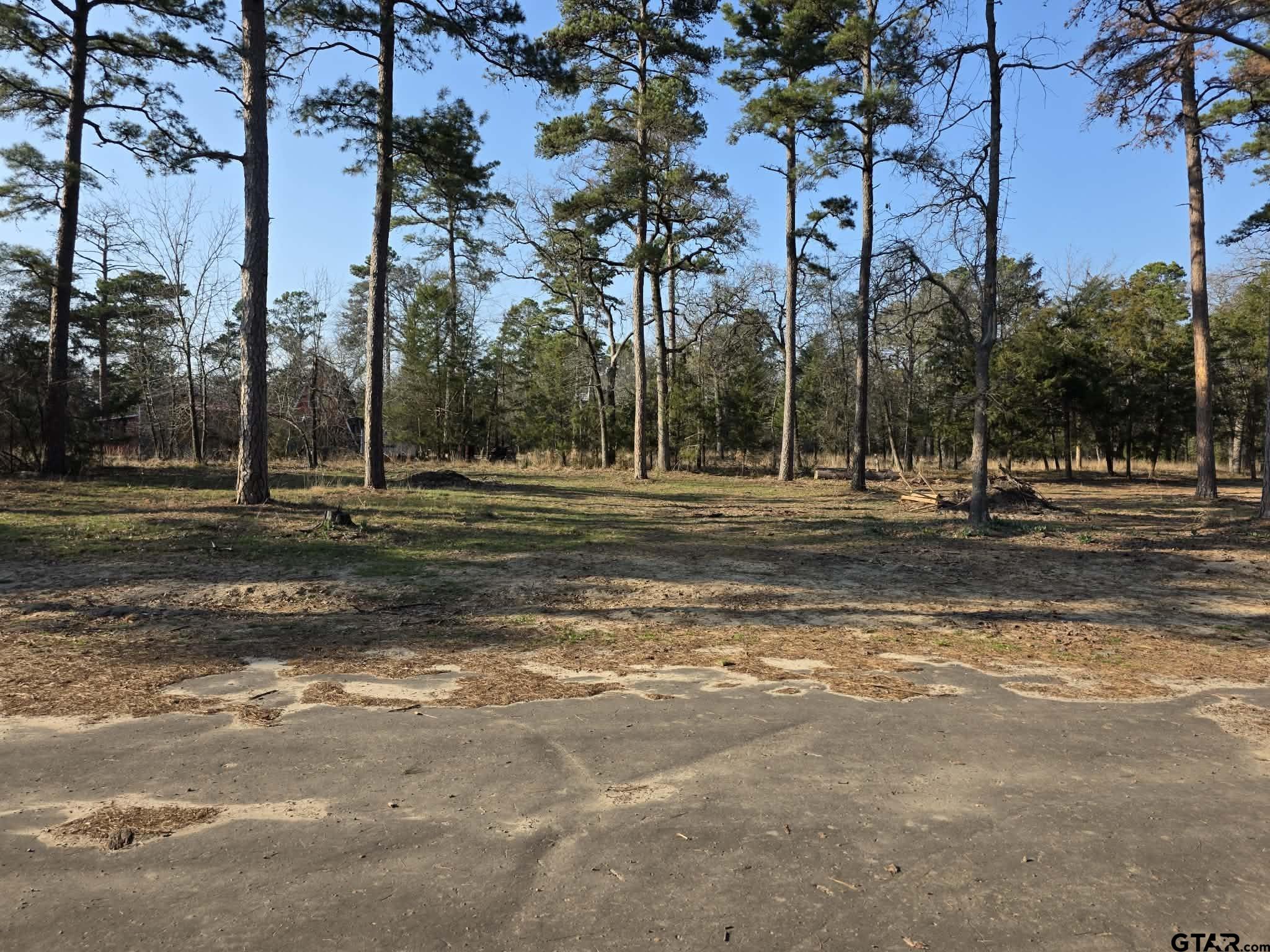 Tbd King Charles Road Scroggins, TX 75480 - Photo 4 of 11