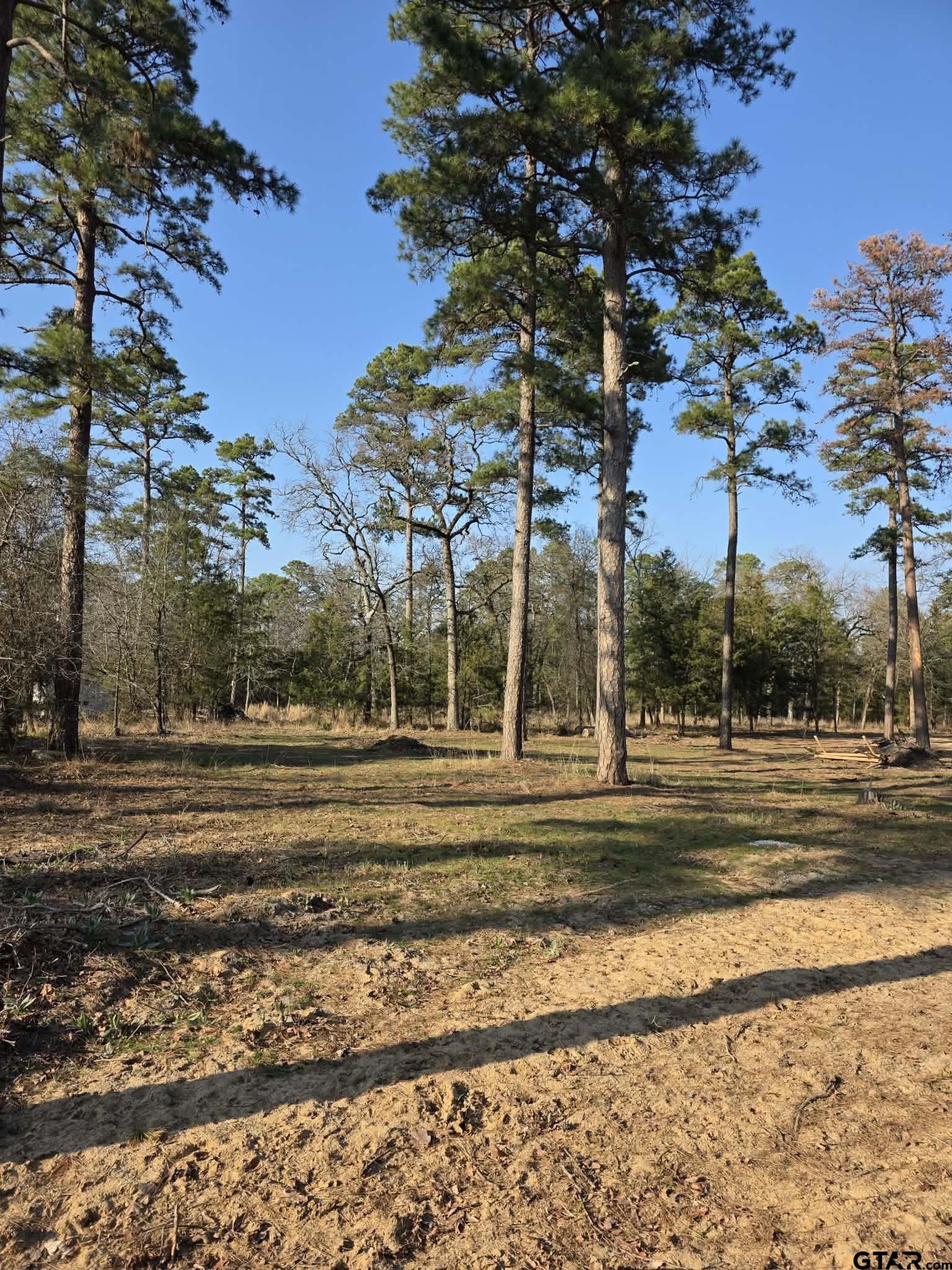 Tbd King Charles Road Scroggins, TX 75480 - Photo 5 of 11