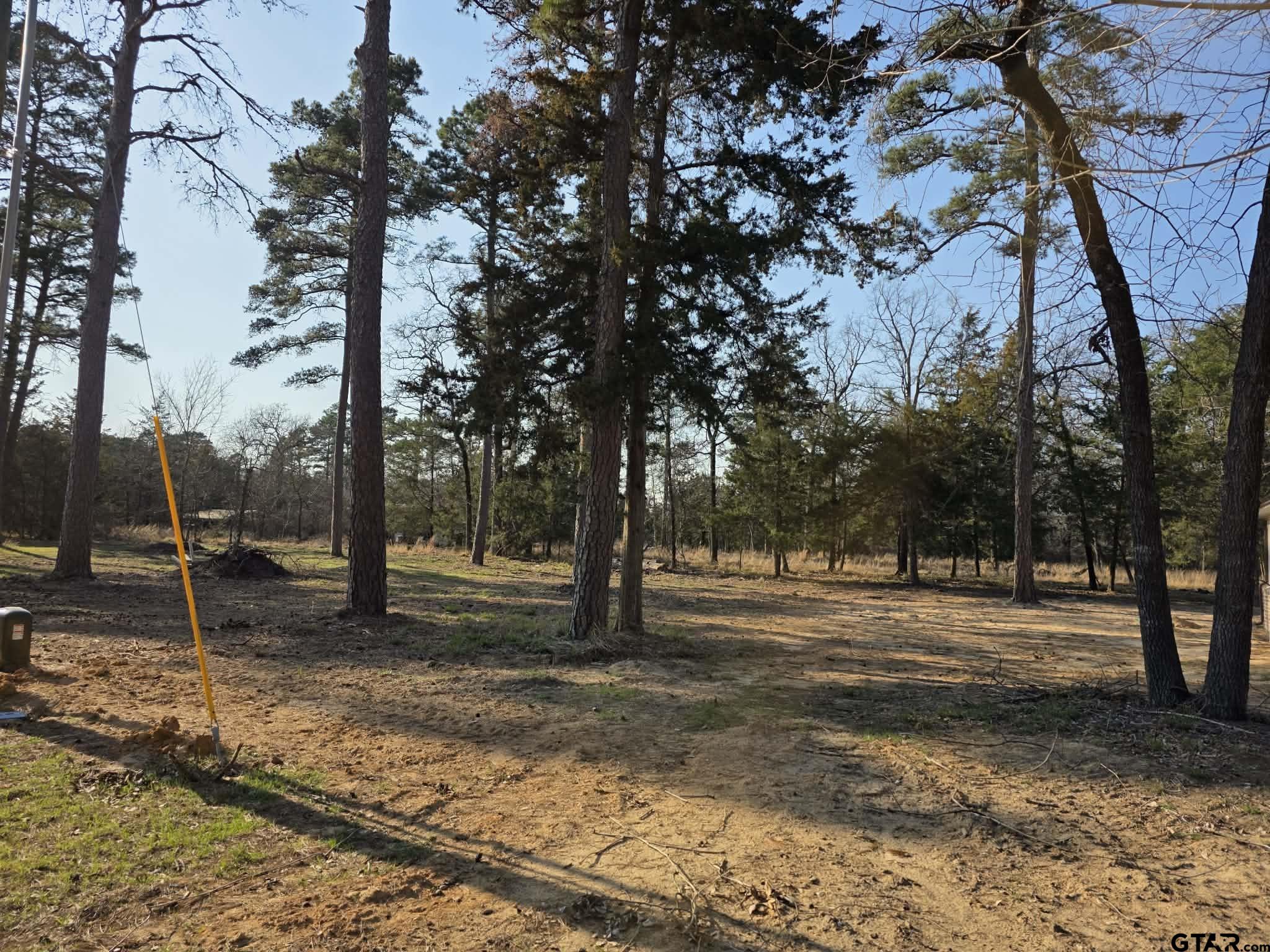 Tbd King Charles Road Scroggins, TX 75480 - Photo 6 of 11