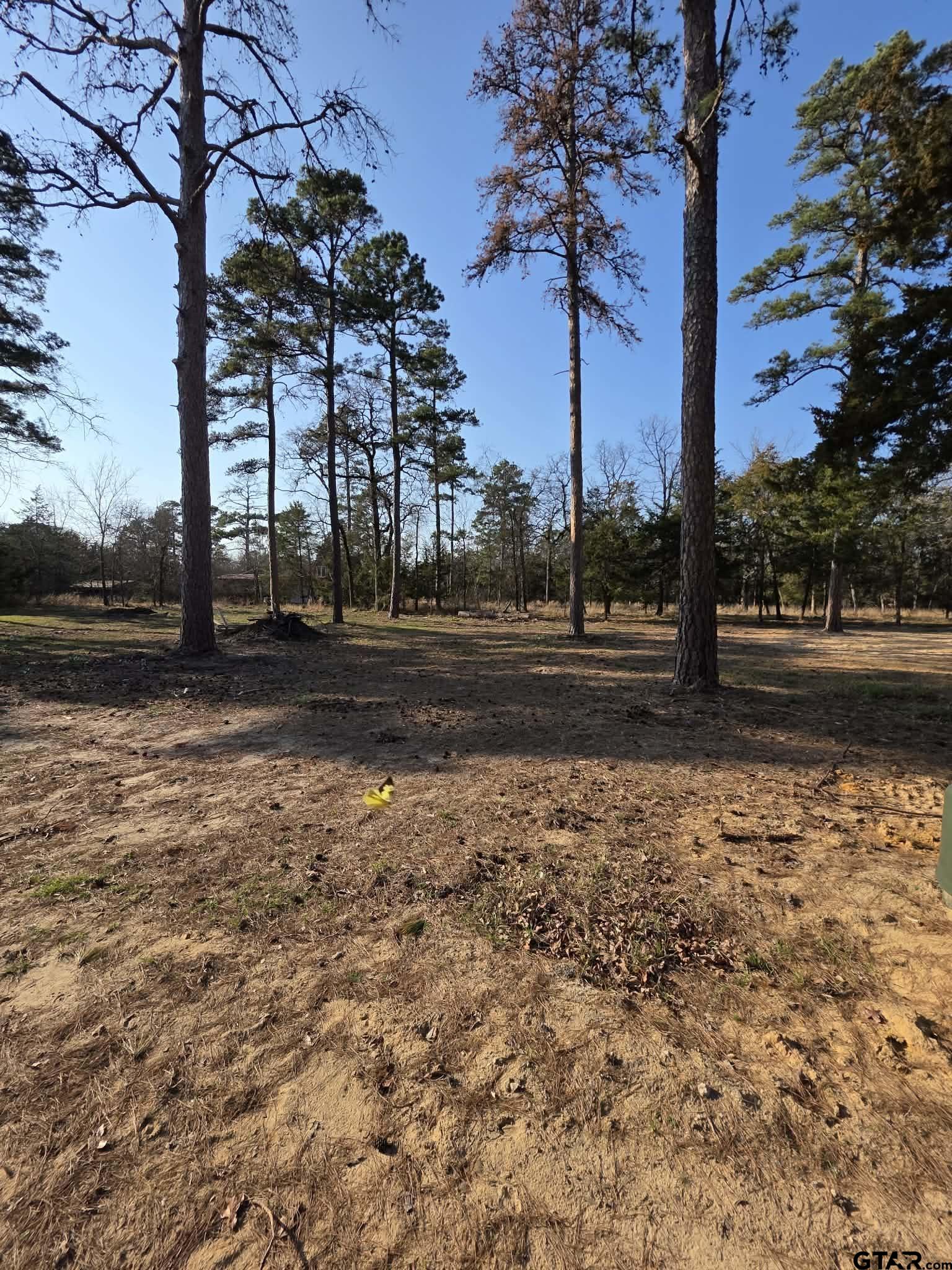 Tbd King Charles Road Scroggins, TX 75480 - Photo 7 of 11