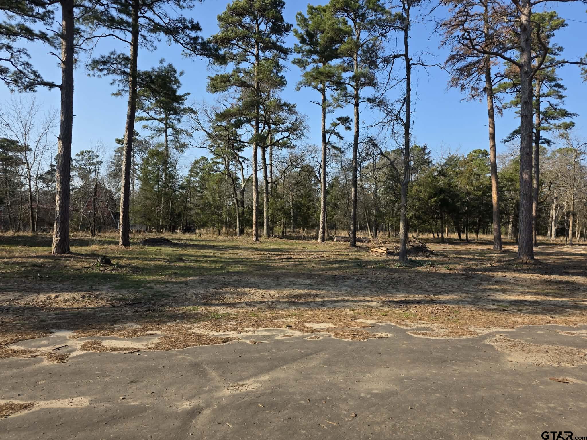 Tbd King Charles Road Scroggins, TX 75480 - Photo 8 of 11