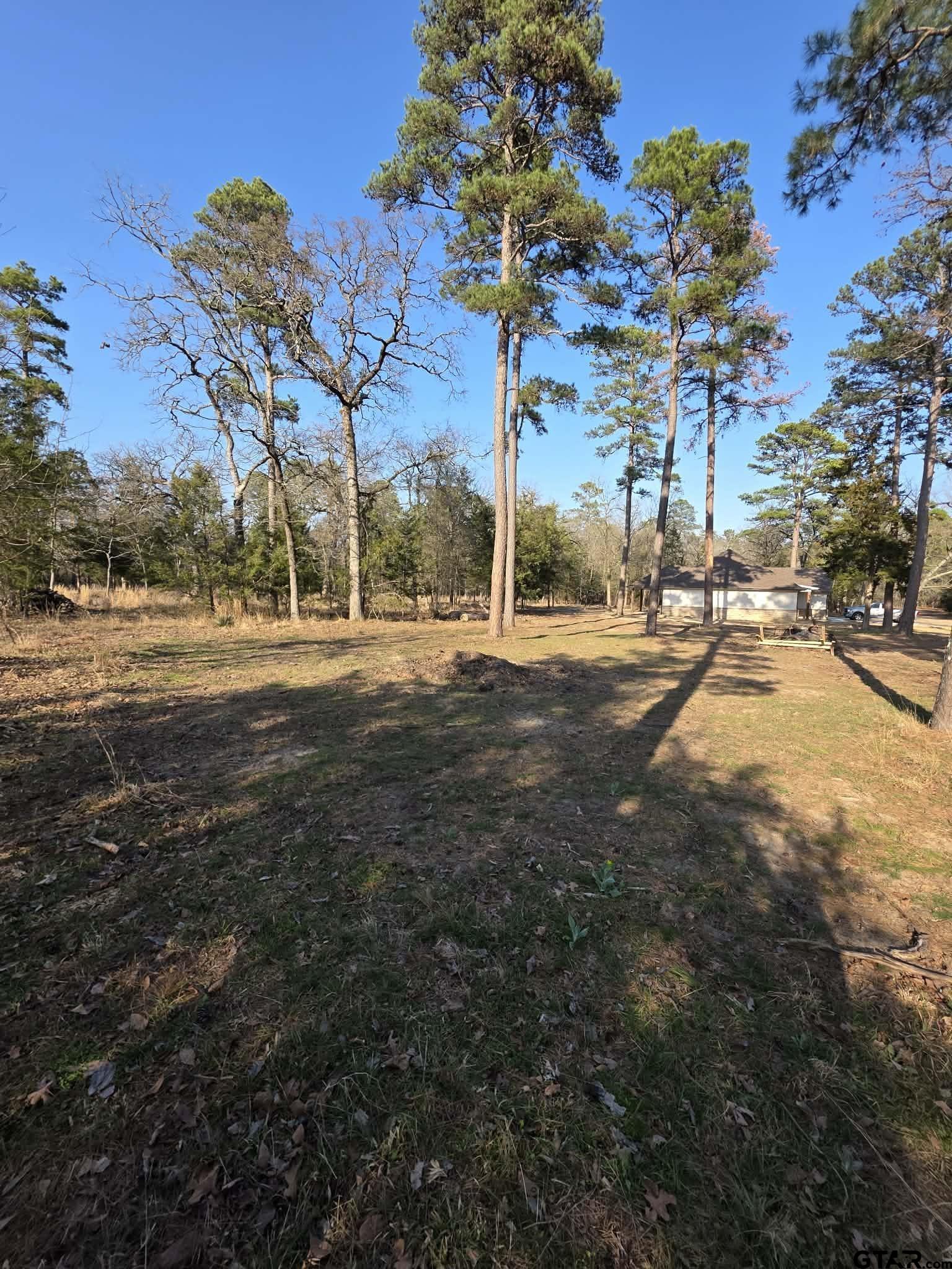 Tbd King Charles Road Scroggins, TX 75480 - Photo 9 of 11