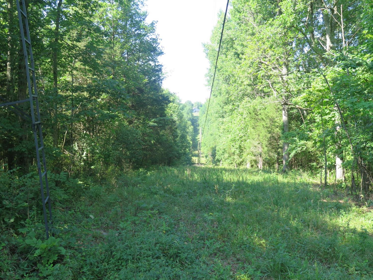 1 North Lang Road Berry, KY 41003 - Photo 12 of 17 Photo 12