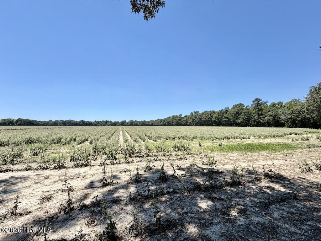 500 Indian Trail Road Edenton, NC 27932 - Photo 51 of 60