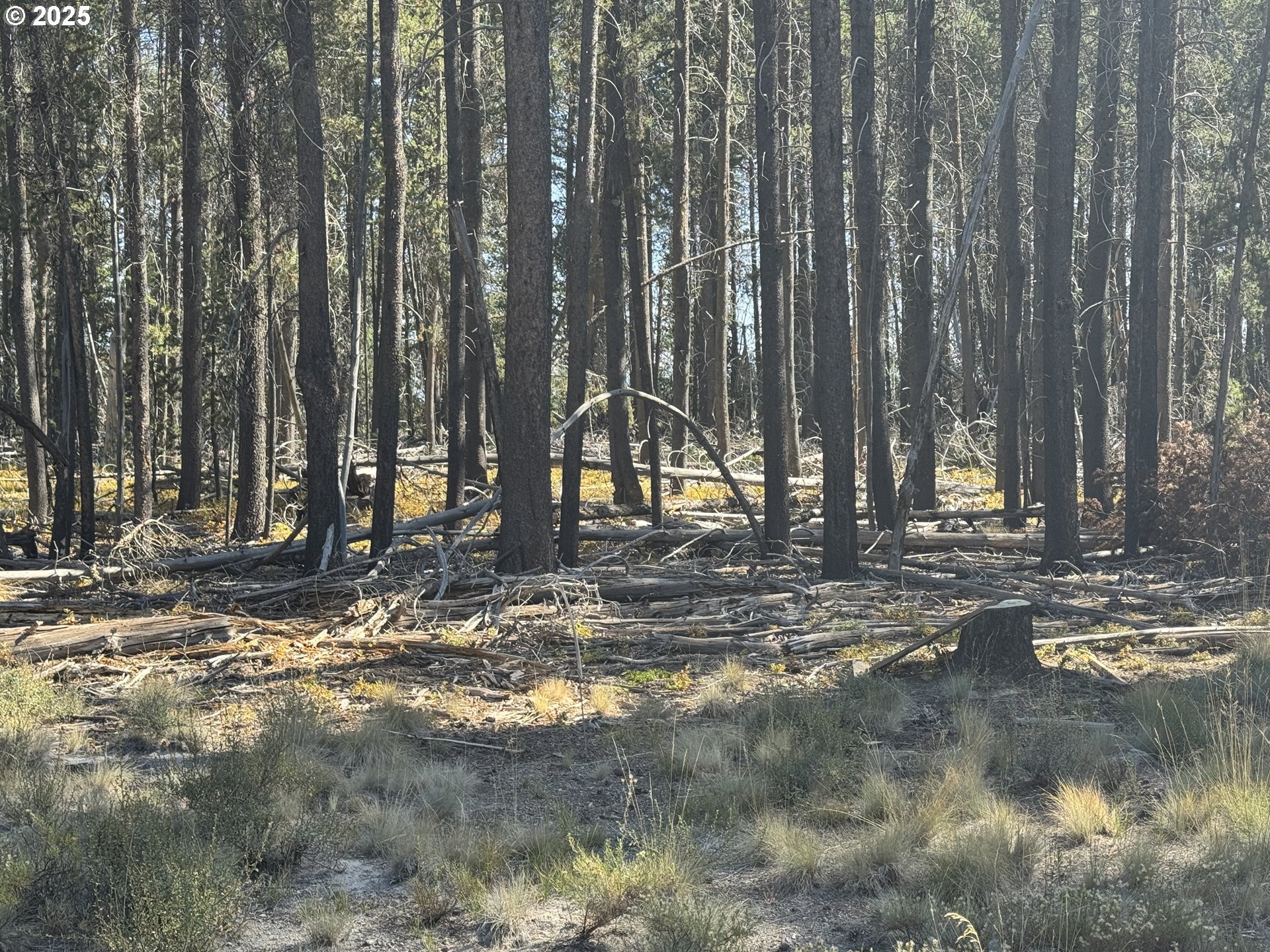 Cloudcap Drive, Unit 6 Chiloquin, OR 97624 - Photo 11 of 27