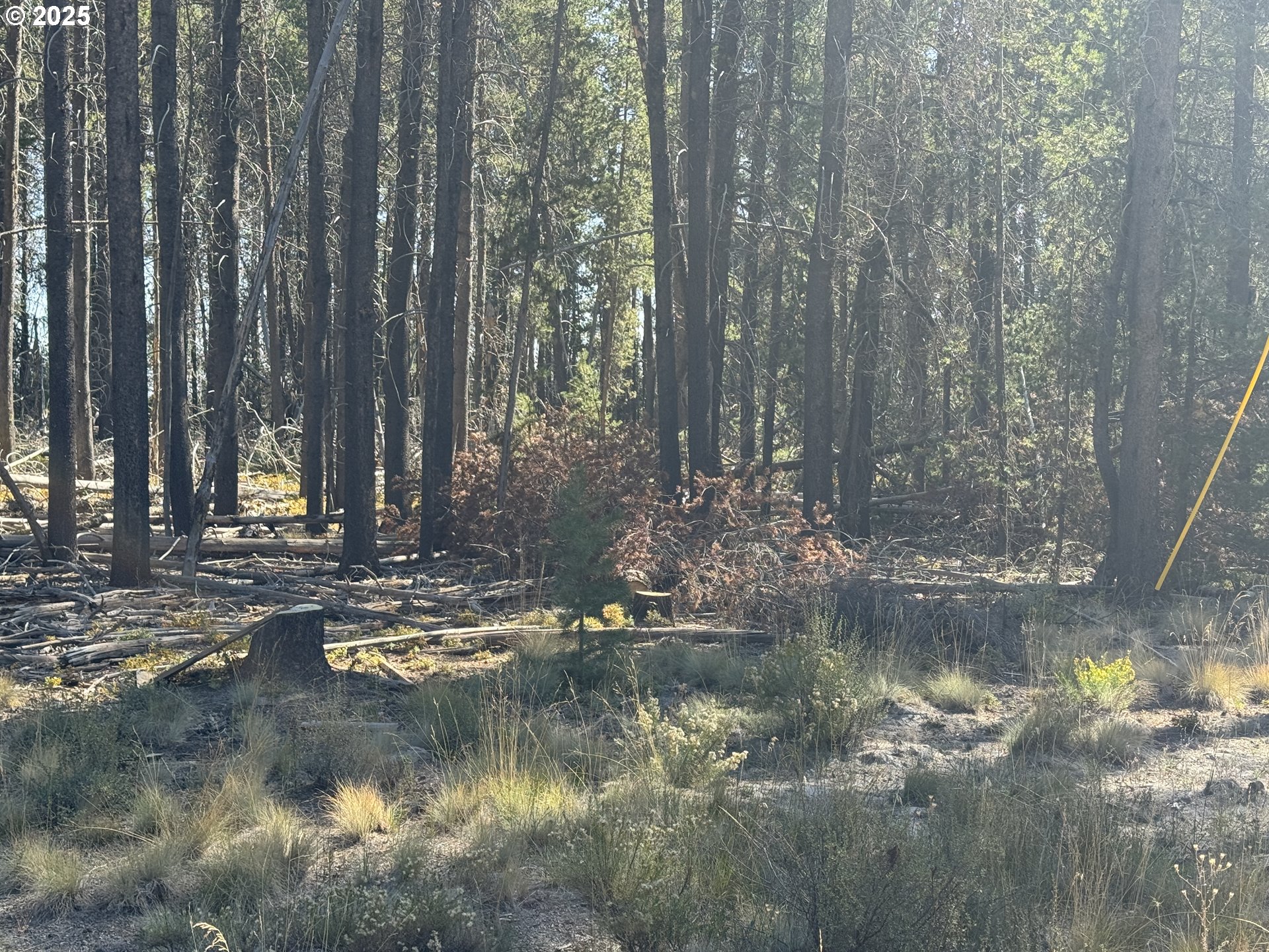 Cloudcap Drive, Unit 6 Chiloquin, OR 97624 - Photo 12 of 27