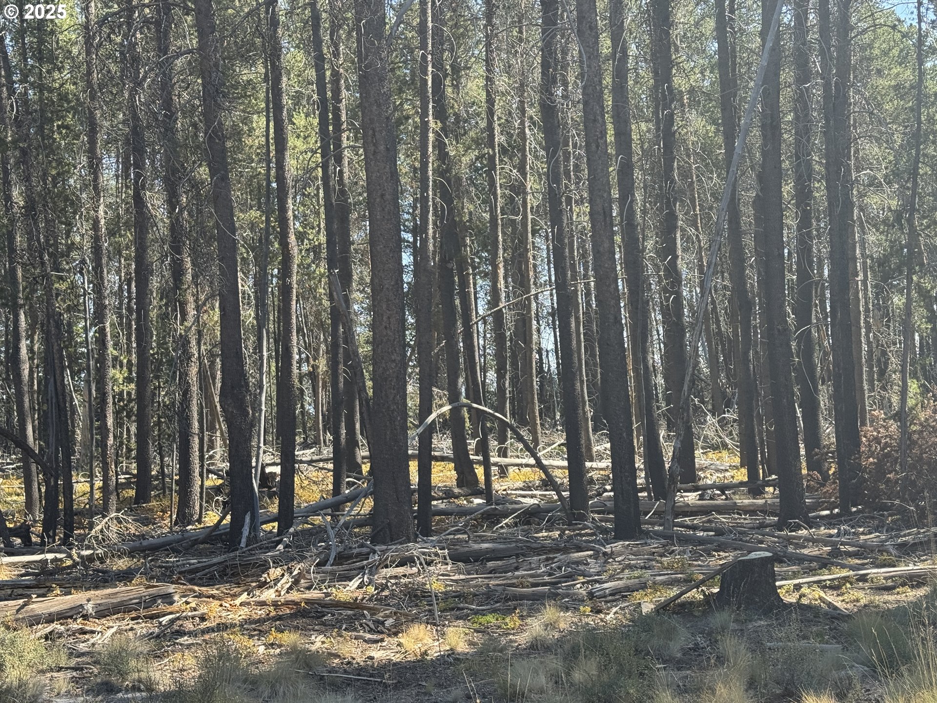Cloudcap Drive, Unit 6 Chiloquin, OR 97624 - Photo 13 of 27