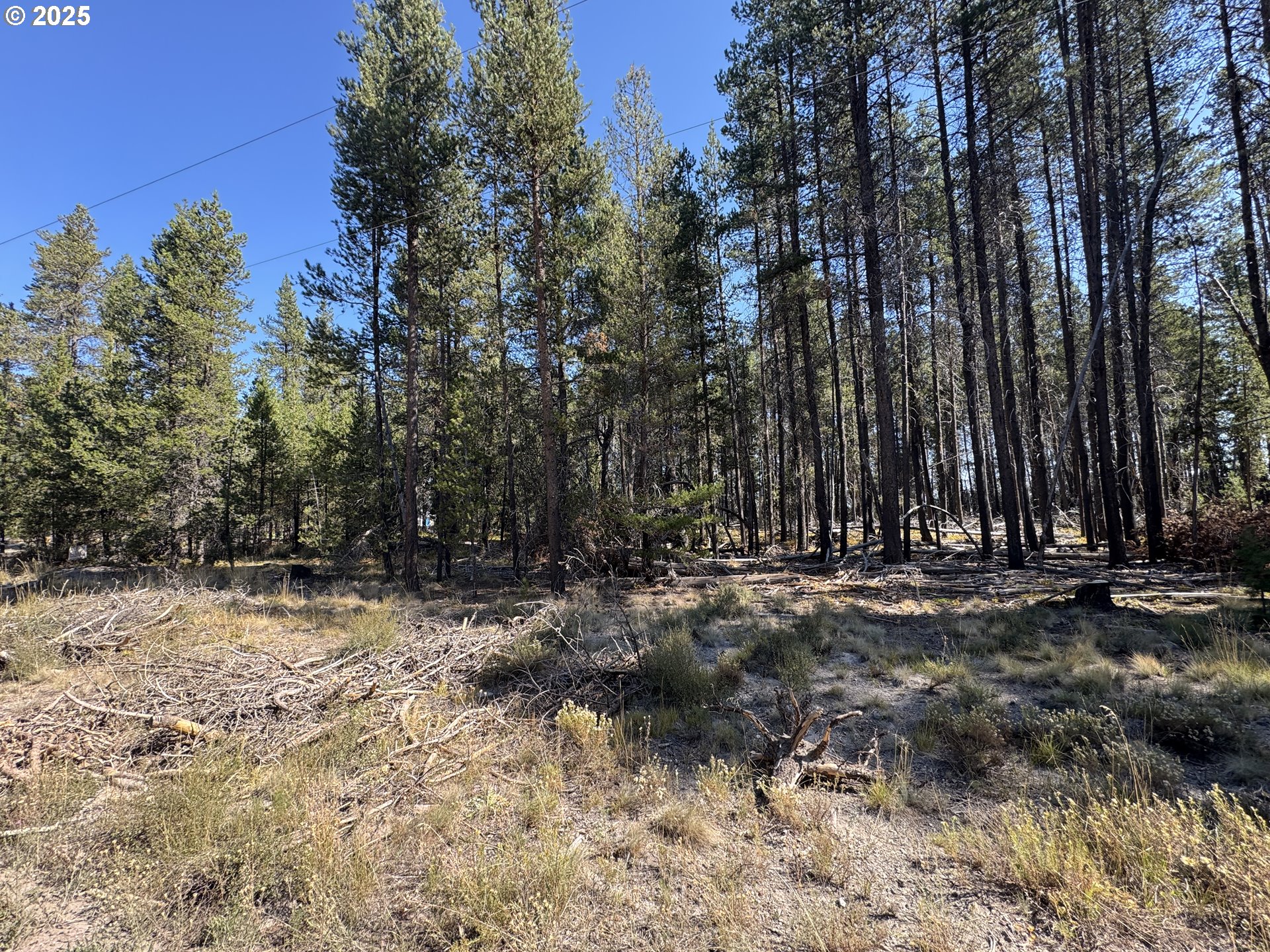 Cloudcap Drive, Unit 6 Chiloquin, OR 97624 - Photo 15 of 27