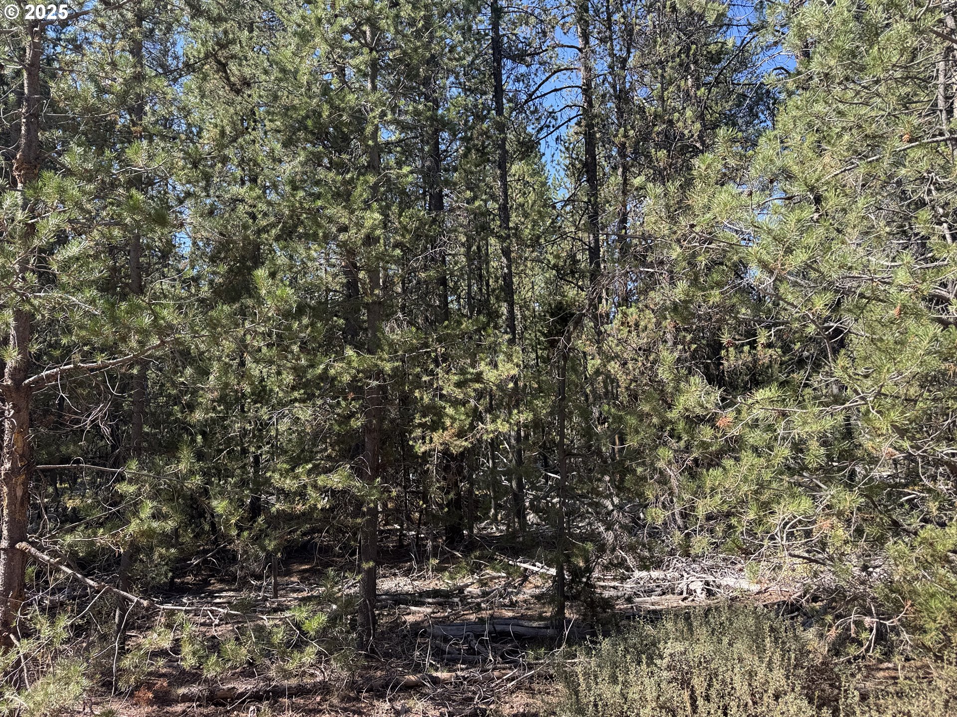 Cloudcap Drive, Unit 6 Chiloquin, OR 97624 - Photo 16 of 27