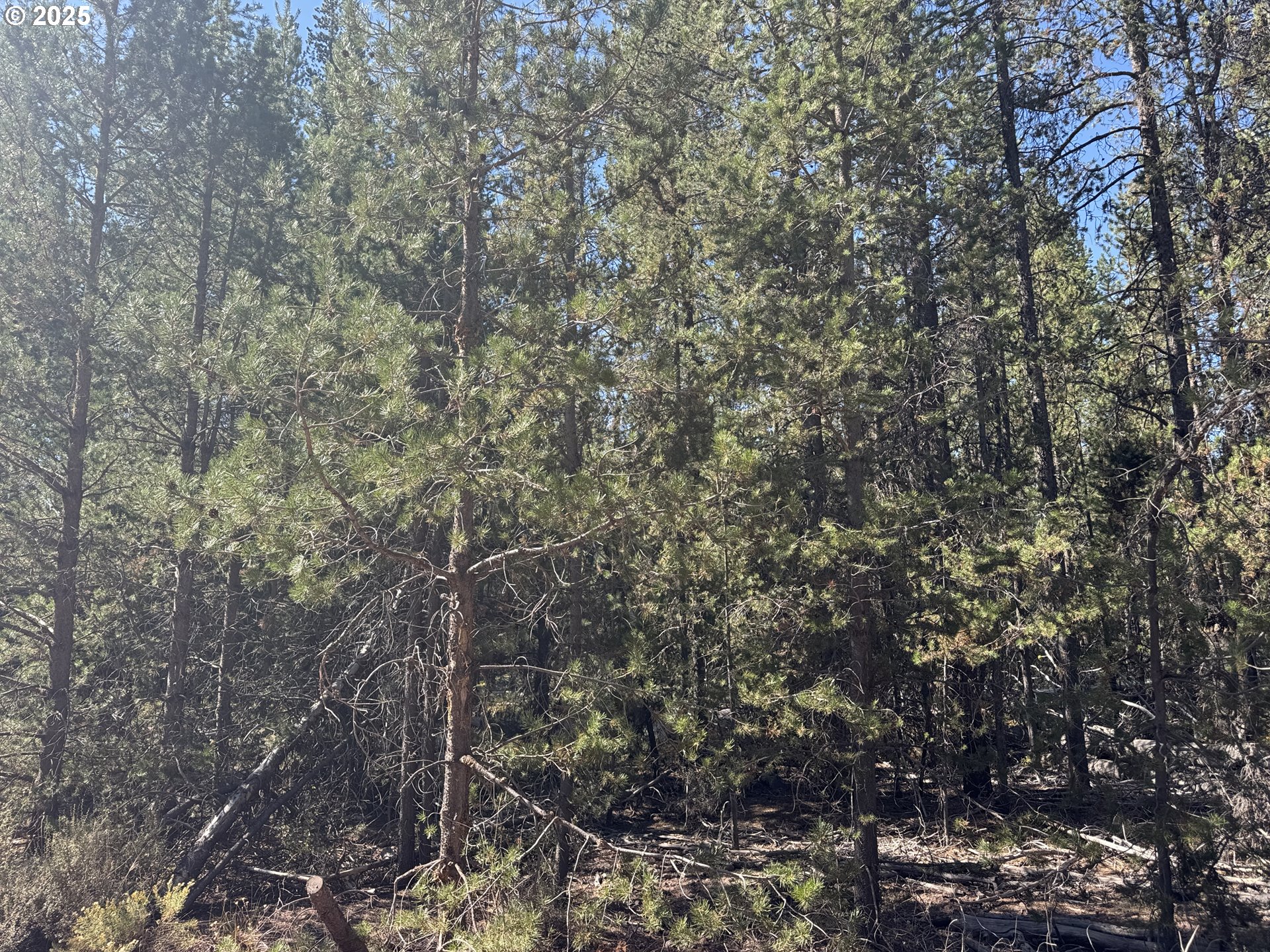 Cloudcap Drive, Unit 6 Chiloquin, OR 97624 - Photo 17 of 27