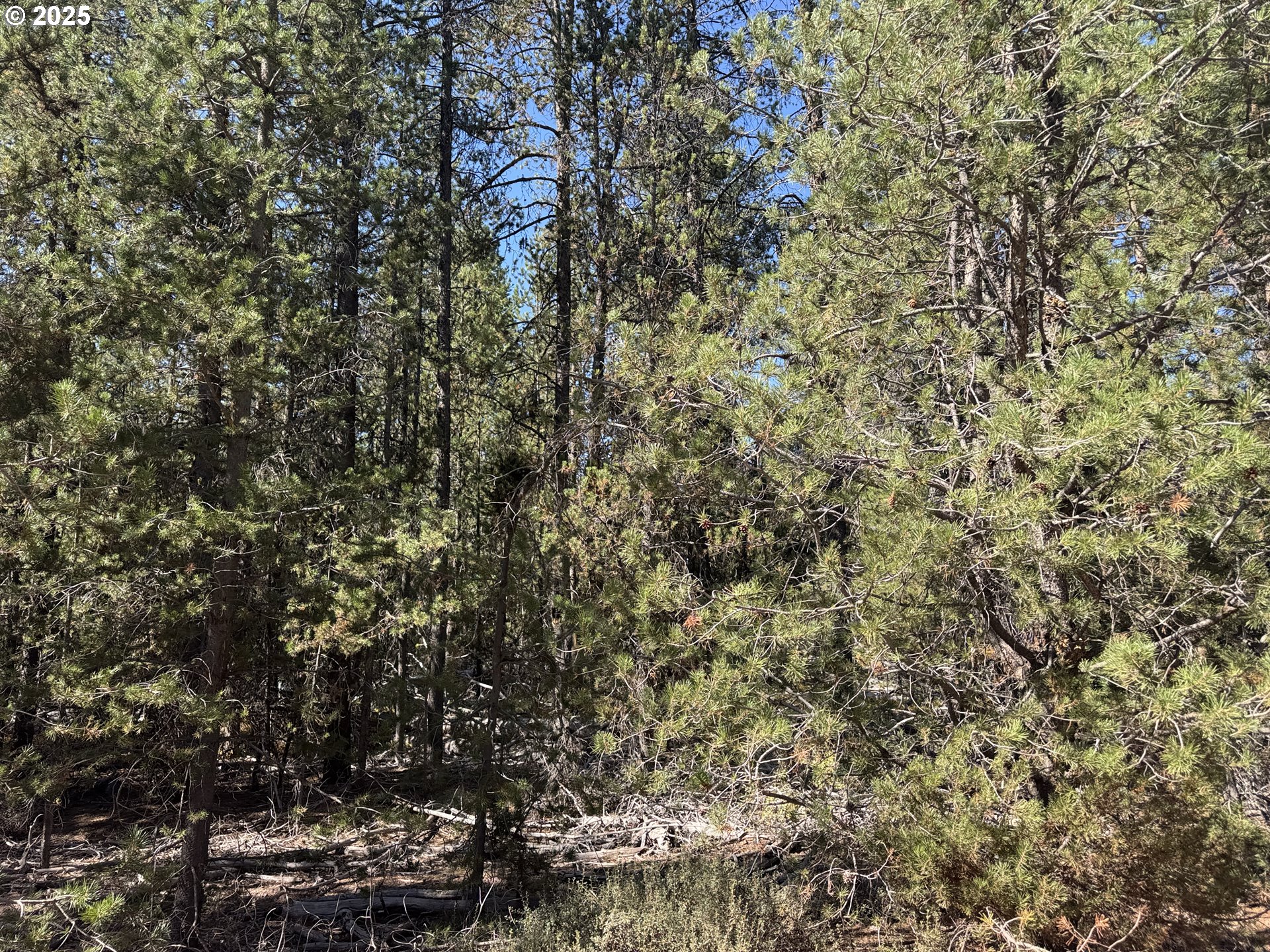 Cloudcap Drive, Unit 6 Chiloquin, OR 97624 - Photo 18 of 27