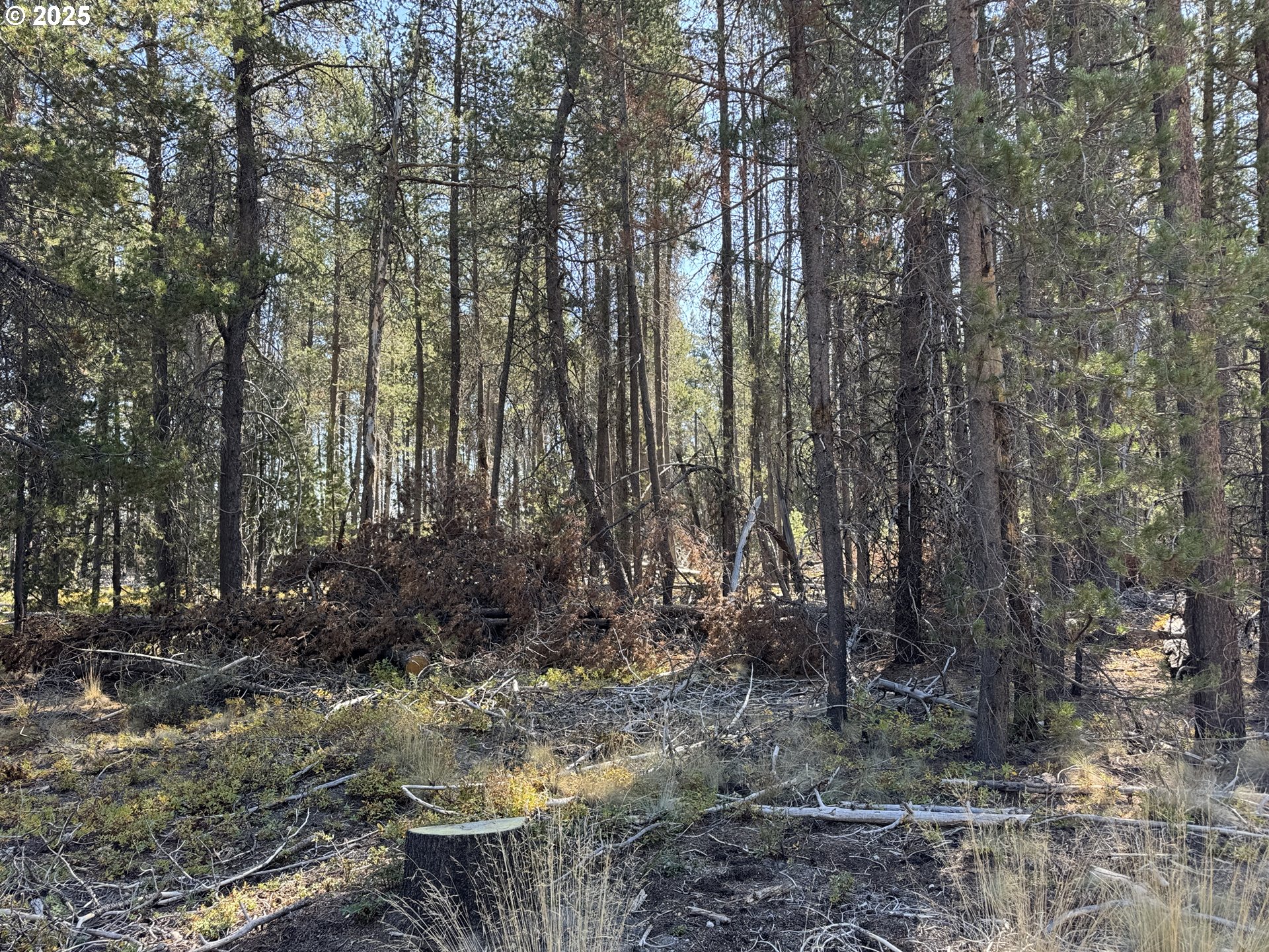 Cloudcap Drive, Unit 6 Chiloquin, OR 97624 - Photo 20 of 27