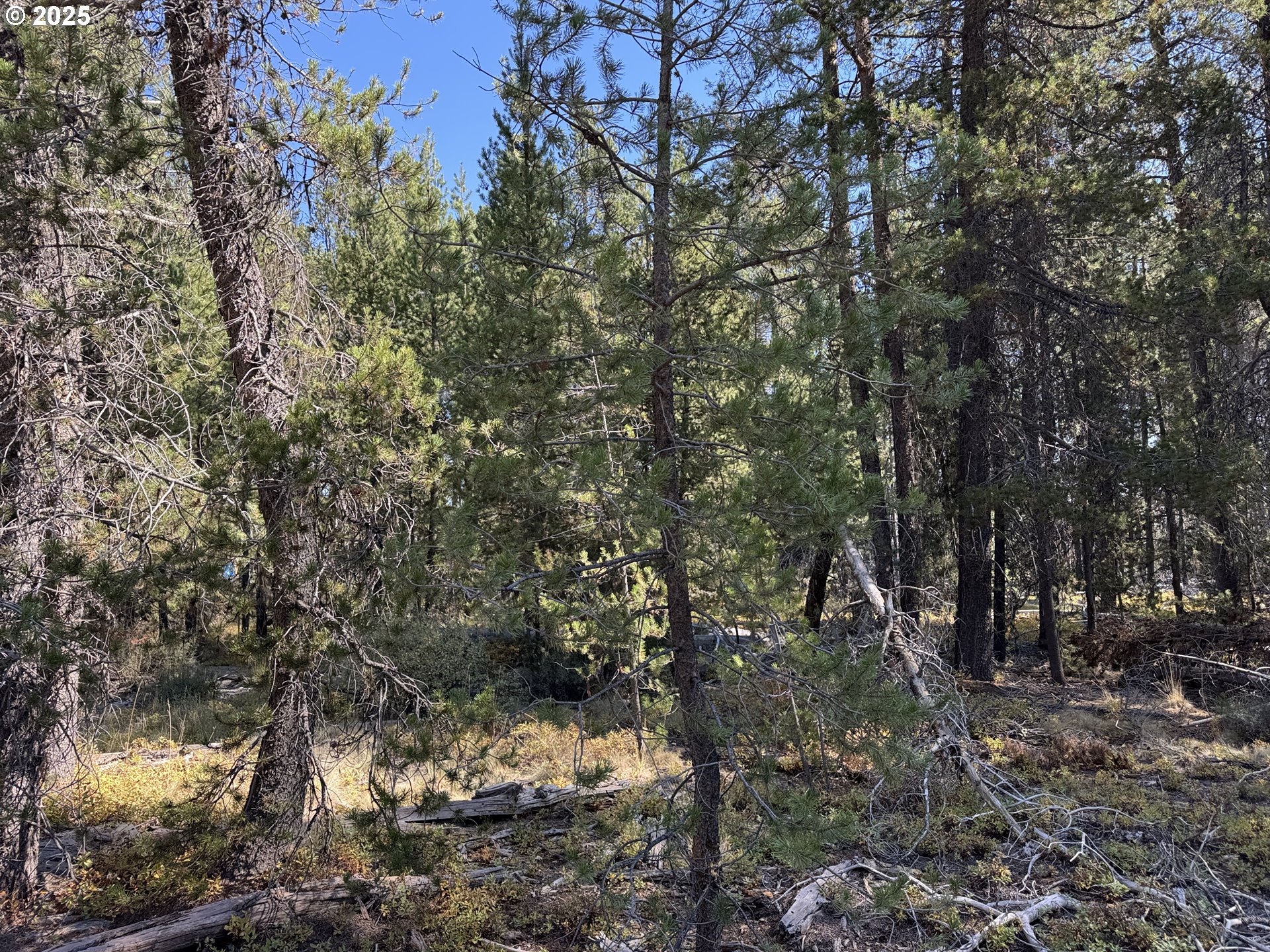 Cloudcap Drive, Unit 6 Chiloquin, OR 97624 - Photo 22 of 27