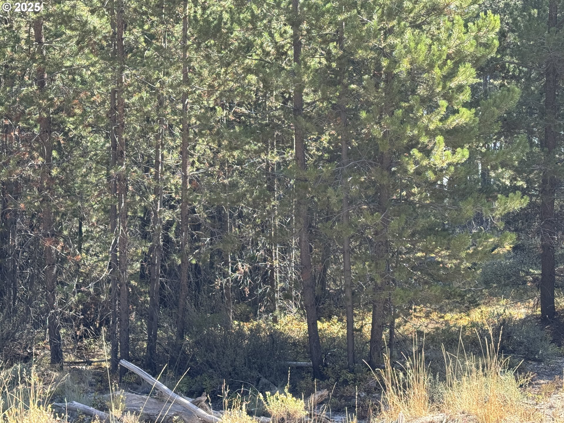 Cloudcap Drive, Unit 6 Chiloquin, OR 97624 - Photo 25 of 27