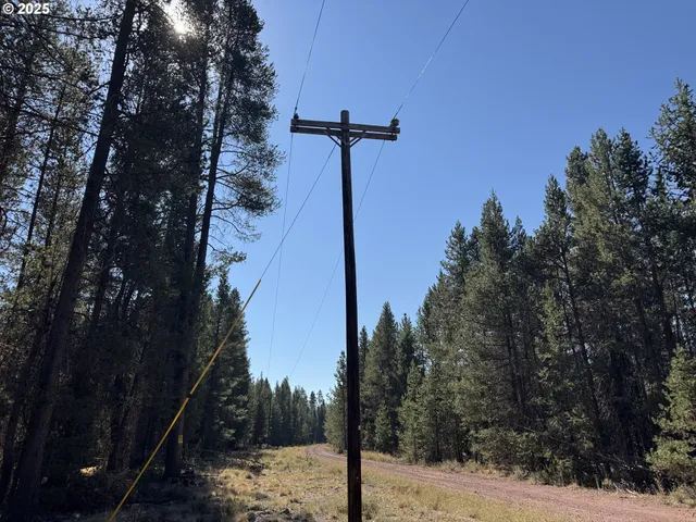 a view of a street with a tree in the background
