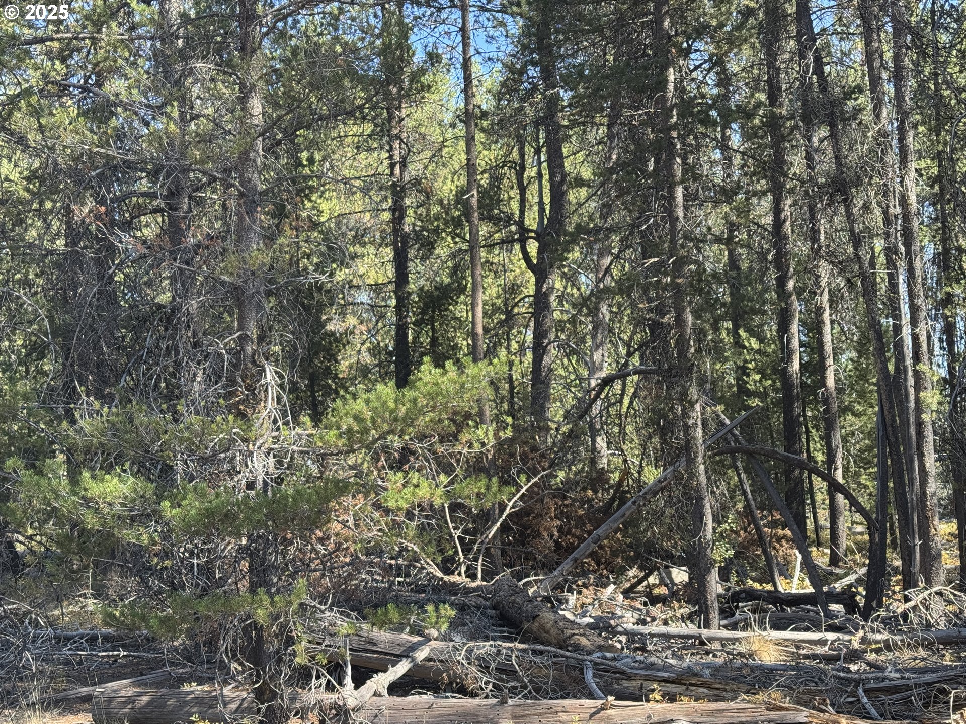 Cloudcap Drive, Unit 6 Chiloquin, OR 97624 - Photo 8 of 27