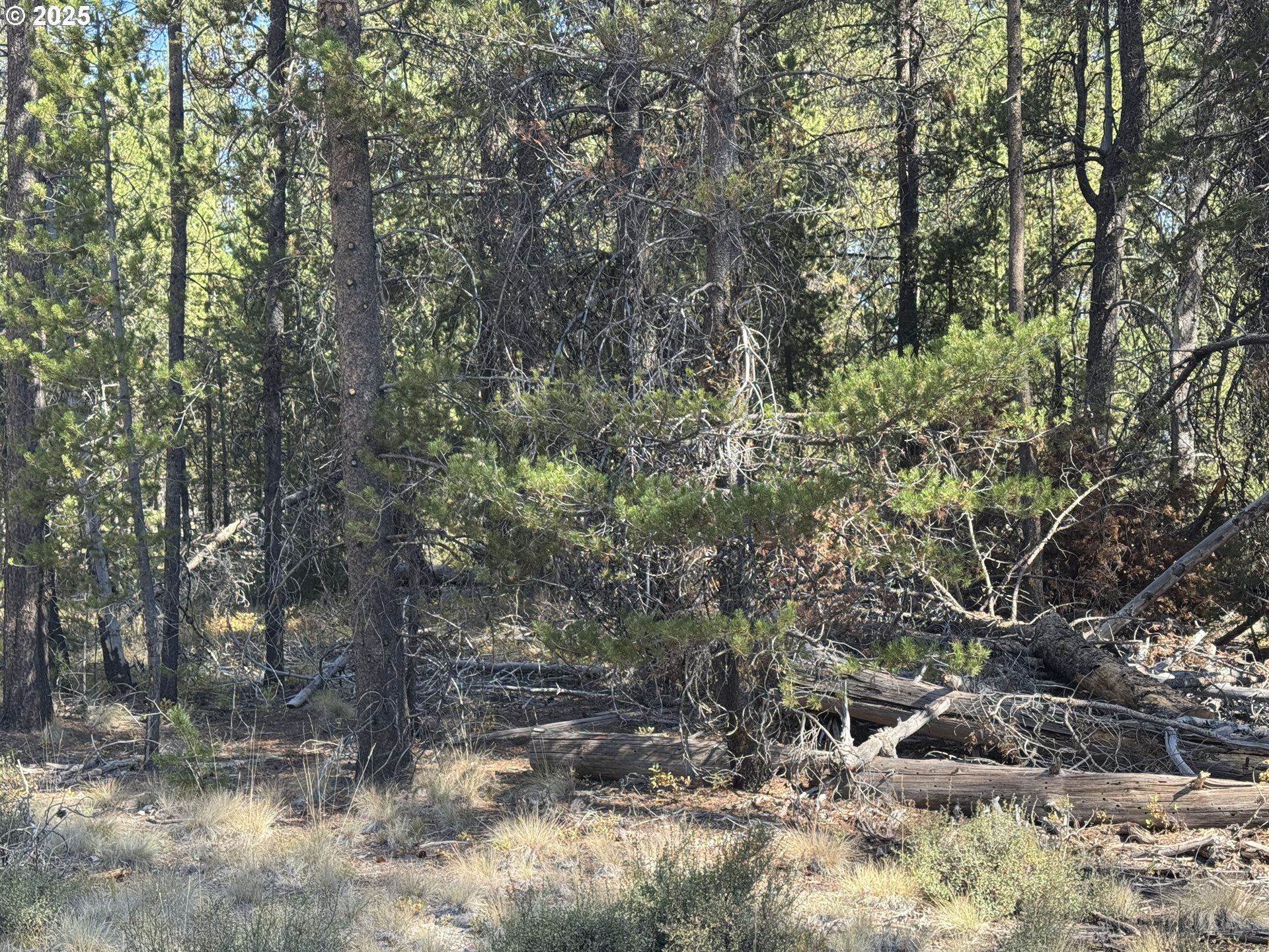 Cloudcap Drive, Unit 6 Chiloquin, OR 97624 - Photo 9 of 27