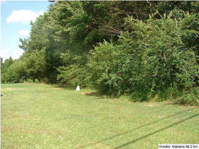 9147 Lock 17 Road Adger, AL 35006 - Photo 1 of 3