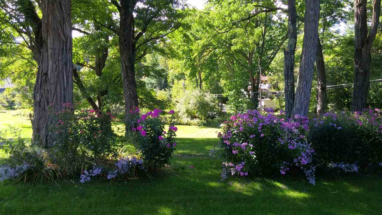 338 High Street Cavendish, VT 05142 - Photo 36 of 37
