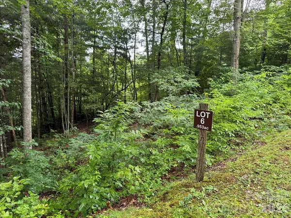 $46,000 | Lot 6 Garnet Road, Sylva, NC 28779