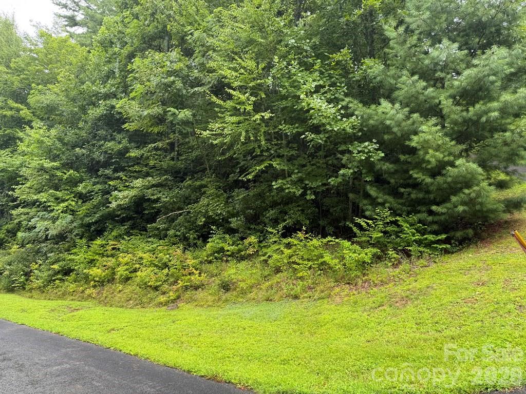 Lot 6 Garnet Road Sylva, NC 28779 - Photo 2 of 9 a view of a yard with an outdoor space