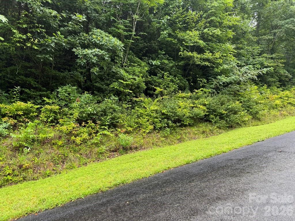 Lot 6 Garnet Road Sylva, NC 28779 - Photo 3 of 9 a view of a yard with a tree
