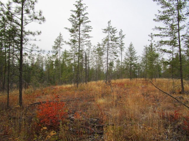 33-xx Skok Road Valley, WA 99181 - Photo 3 of 13