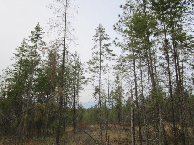 33-xx Skok Road Valley, WA 99181 - Photo 8 of 13