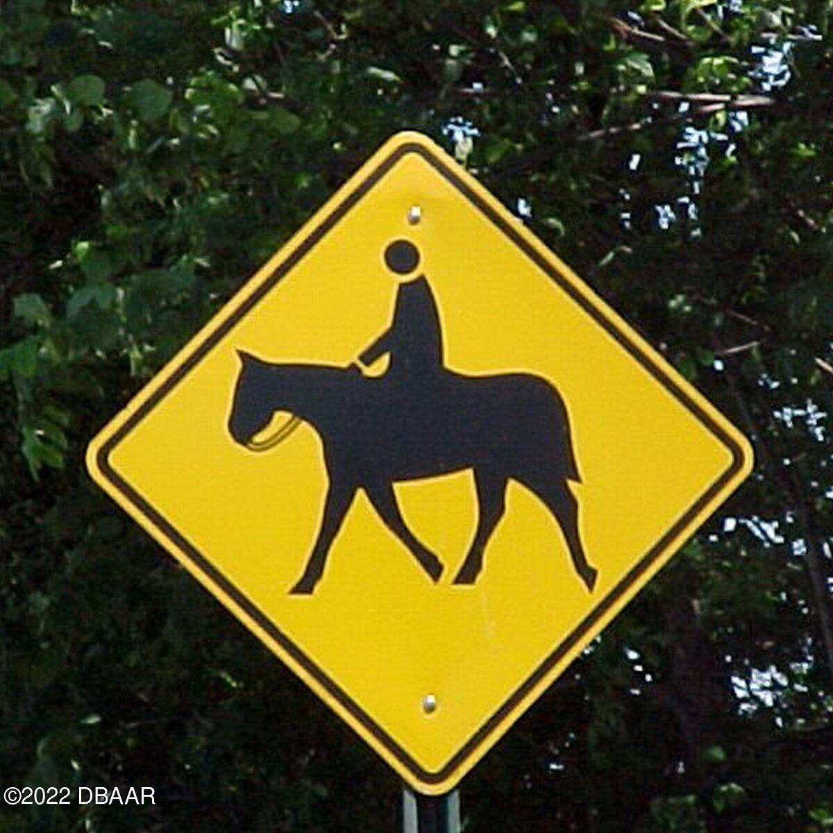 1555 South Ridgewood Avenue DeLand, FL 32720 - Photo 16 of 88 horse-crossing-1546490