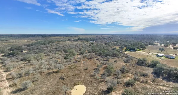 a view of a dry yard with trees in the background