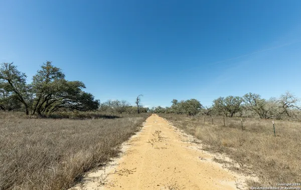 a view of a dry yard with wooden fence