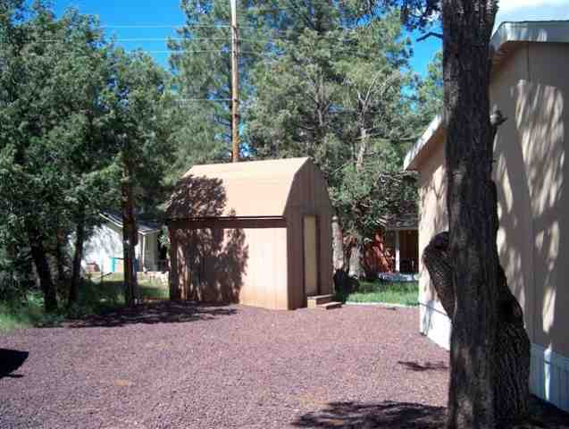 2188 Wildlife Trail Overgaard, AZ 85933 - Photo 2 of 5
