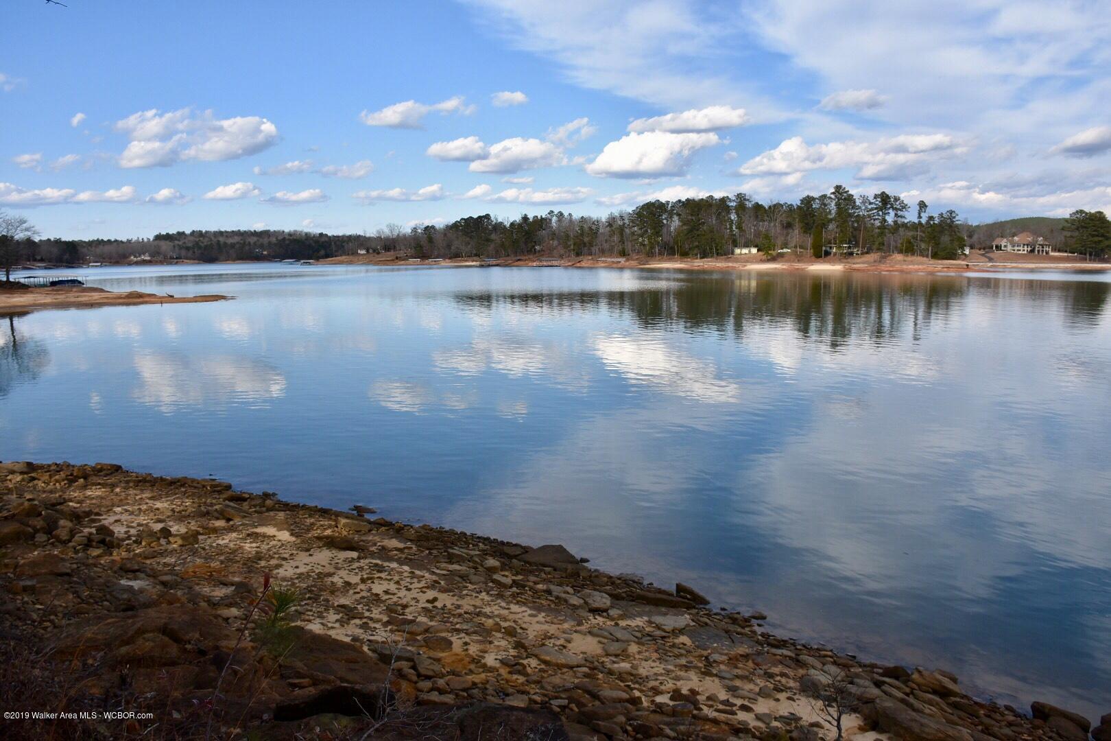 16 Stoney Pointe North Road Double Springs, AL 35553 - Photo 15 of 16 Gallery Image 15