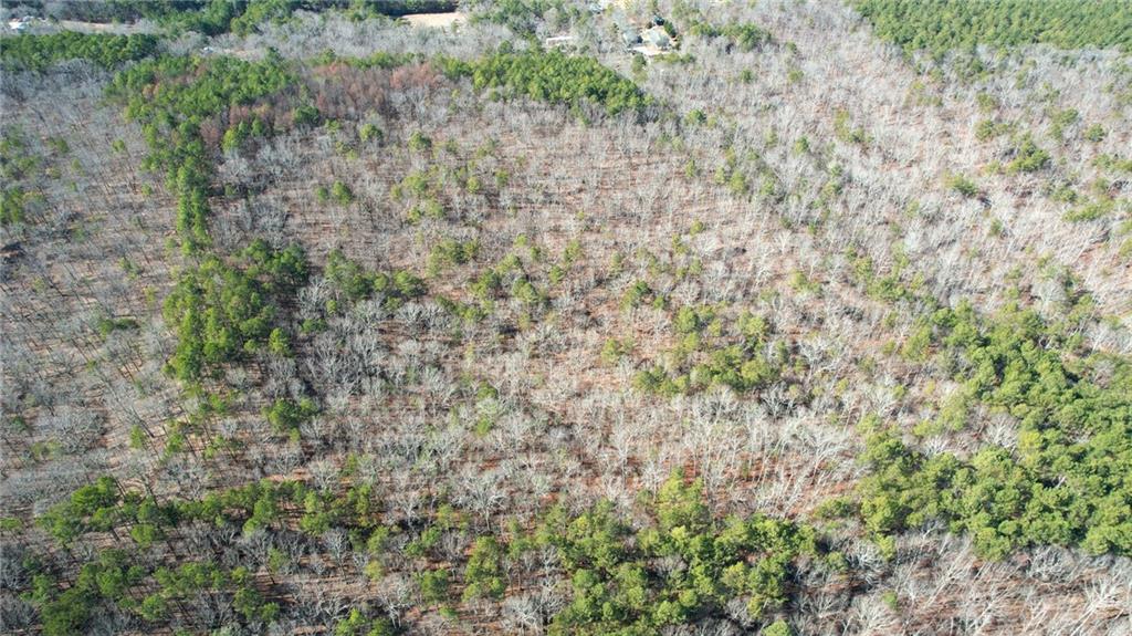 1 Bozeman Road Rydal, GA 30171 - Photo 21 of 25