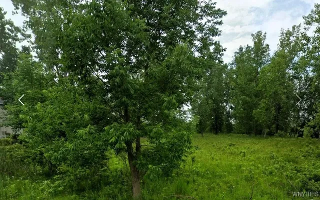 $249,999 | 445 Seneca Creek Road, West Seneca, NY 14224