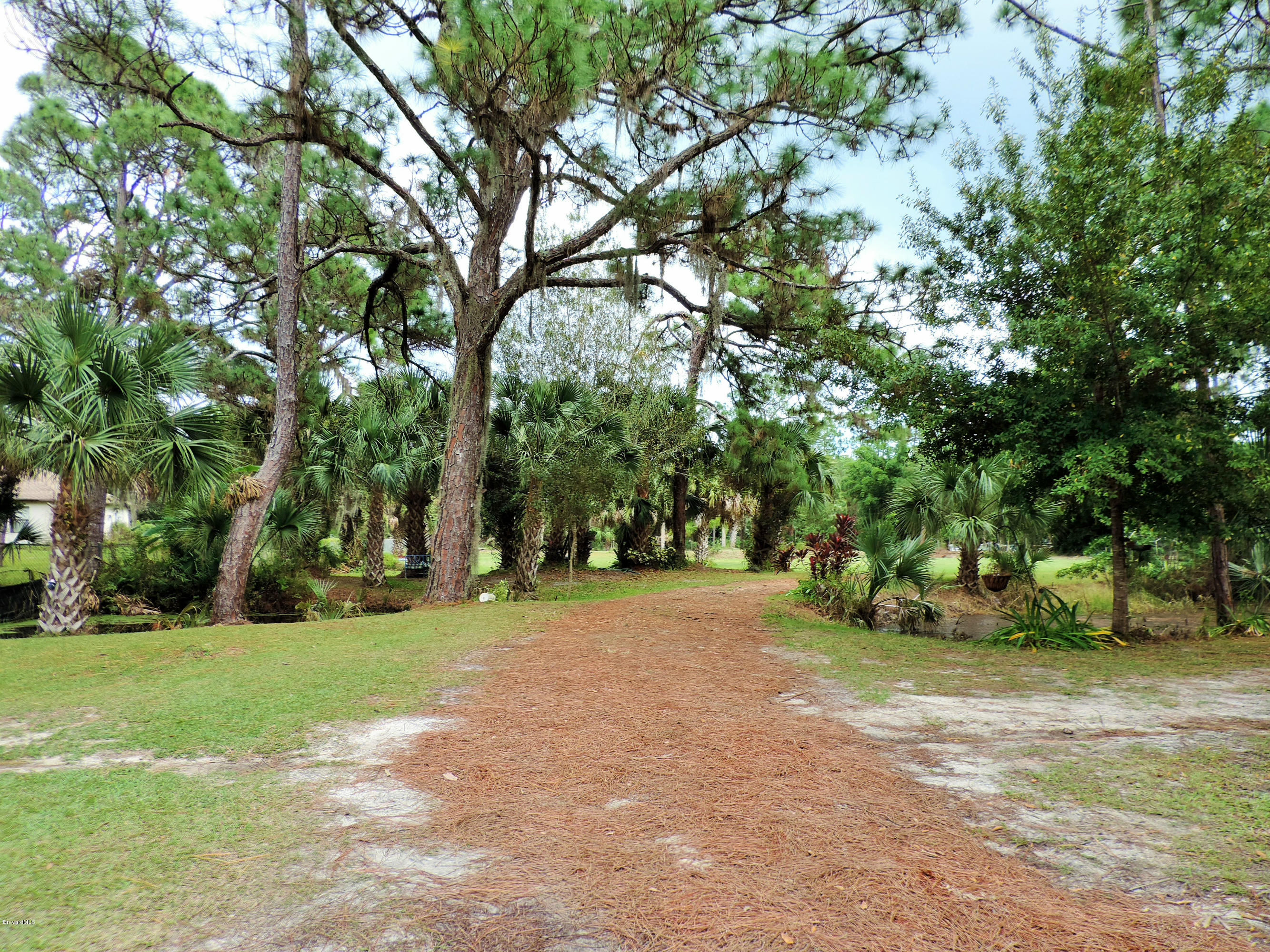 4240 Corey Road Grant Valkaria, FL 32950 - Photo 1 of 51 DSCN3997