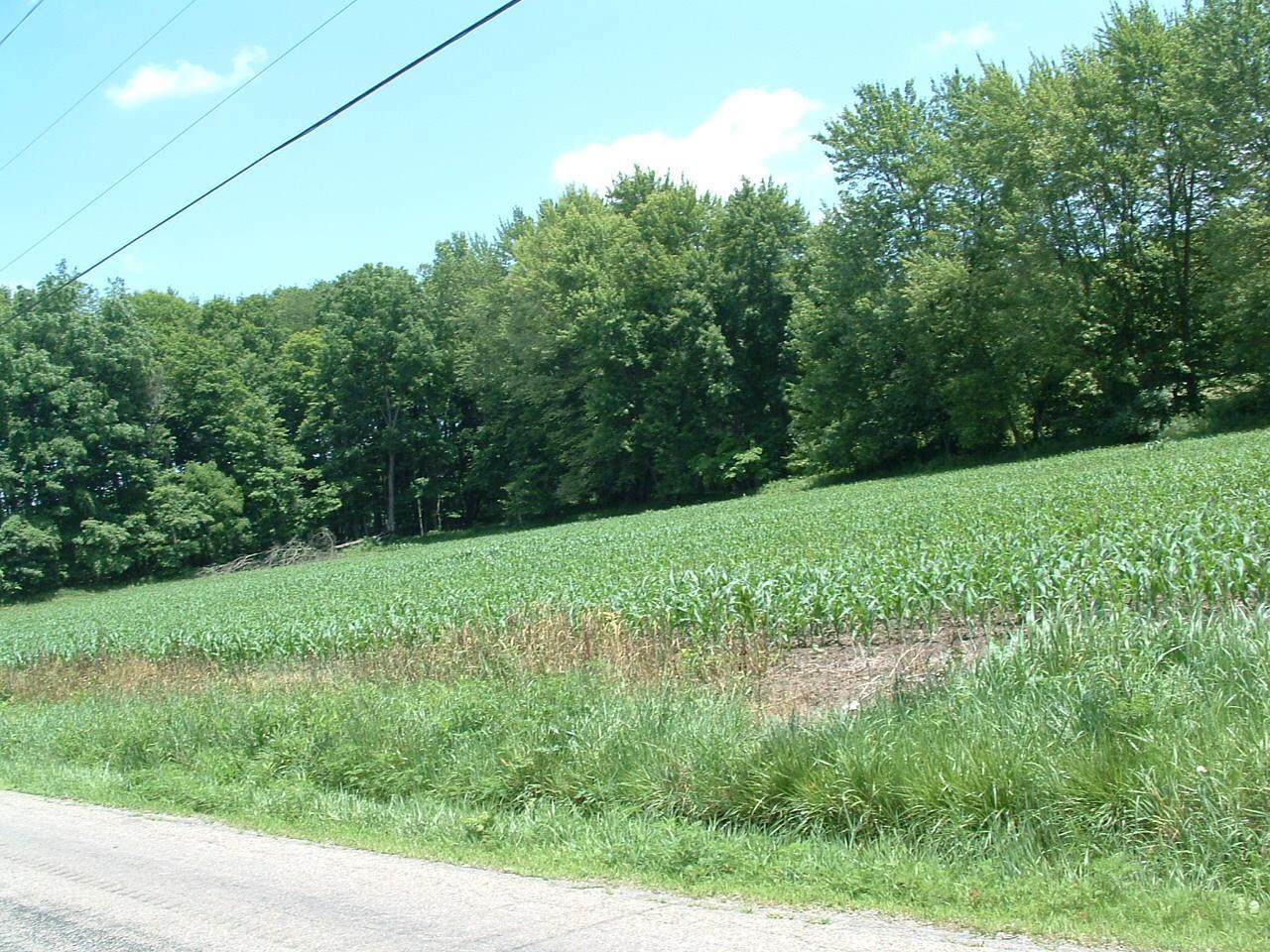 DSCF0011