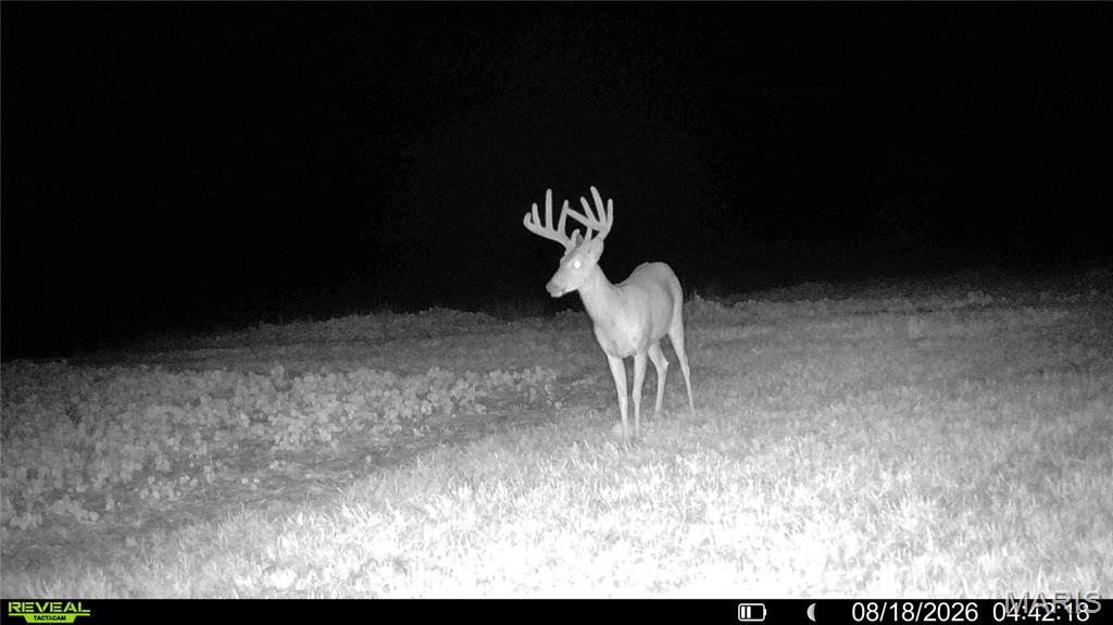 0 Terry Park Road Palmyra, IL 62674 - Photo 34 of 73 Gallery Image 34