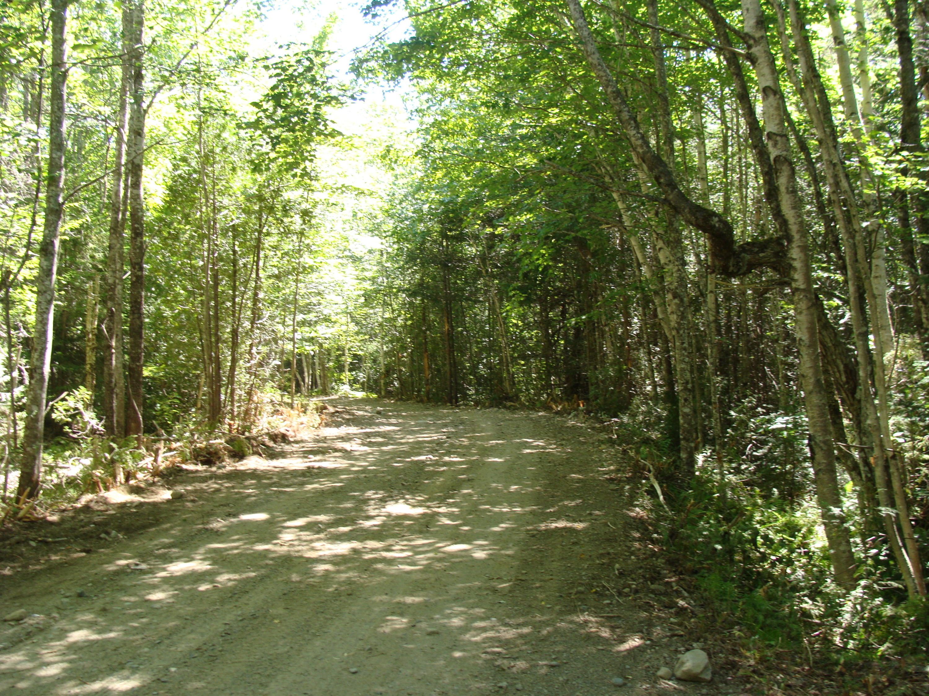 0 Stagecoach Road Dennysville, ME 04628 - Photo 5 of 7 DSC05066