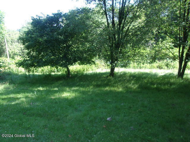 102 Heagle Road Johnstown, NY 12095 - Photo 9 of 87 101_6937