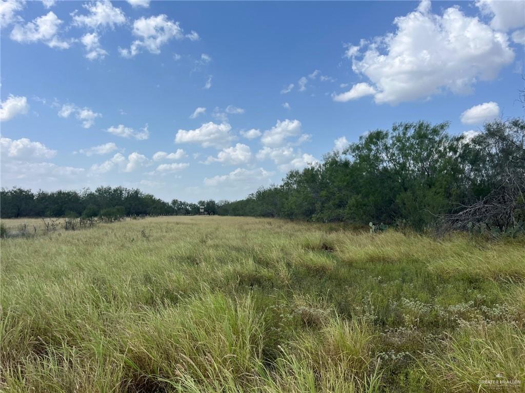 47 Mirasoles Road Rio Grande City, TX 78582 - Photo 10 of 19 Gallery Image 10