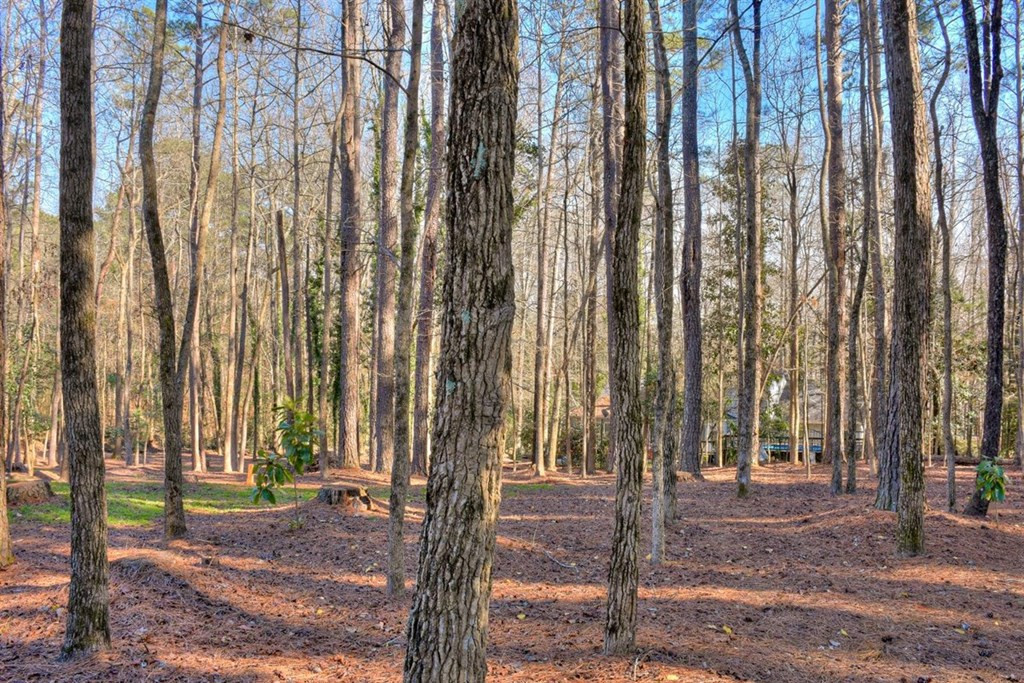 762 Columbia Road Edgefield, SC 29824 - Photo 30 of 35