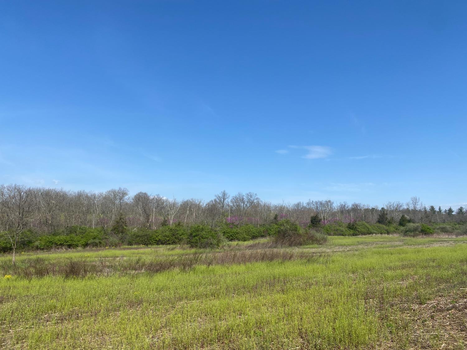 Lot A Morman Road Hamilton, OH 45013 - Photo 5 of 13